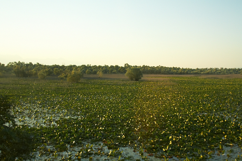 2010-07-10 08-03-21