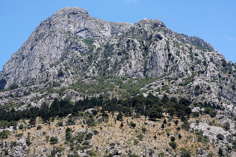 2010-07-08 15-42-37