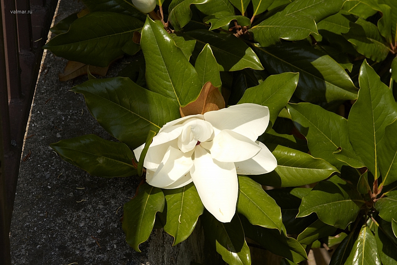 2010-06-30 12-23-30