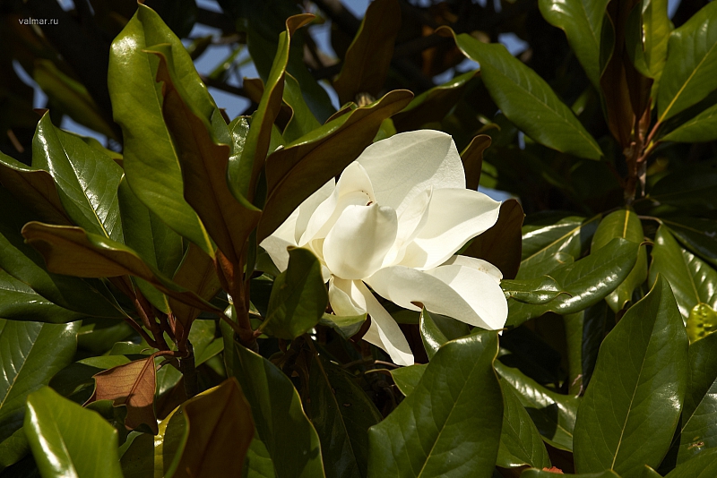 2010-06-30 12-23-36