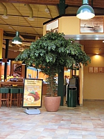 2008-04-30 08-28-09