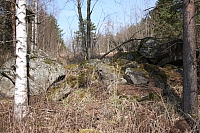 IMG 2300