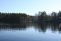 IMG 2445