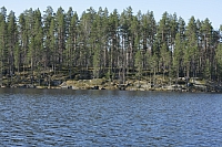 IMG 2476