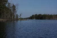 IMG 2484