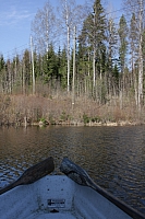 IMG 2487
