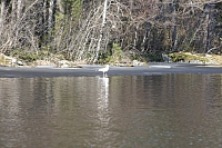 IMG 2502