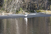 IMG 2506