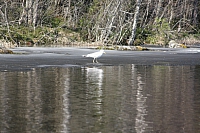 IMG 2508