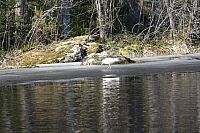 IMG 2514