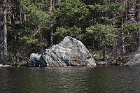 IMG 2530