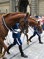 2008-08-14 14-22-34