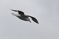 2008-08-14 19-13-04