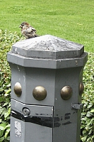 2008-08-11 15-54-15