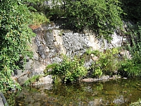 Скансен