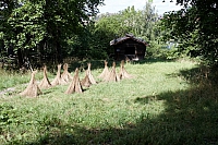 2008-08-13 14-06-45