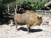 2008-08-13 14-45-59