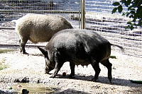 2008-08-13 14-50-04