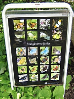 2008-08-13 15-32-15