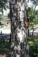 2008-08-13 16-15-43