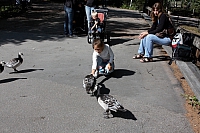 2008-08-13 16-28-04