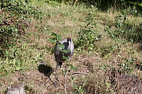 2008-08-13 16-38-02
