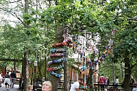 2008-08-13 16-56-44