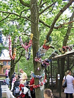 2008-08-13 16-57-24