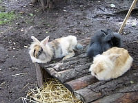 2008-08-13 16-58-19