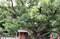 2008-08-13 17-14-56