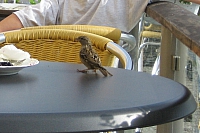 2008-08-13 18-47-16