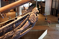 2008-08-13 19-39-25