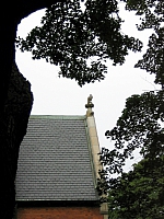 2008-08-12 19-49-53