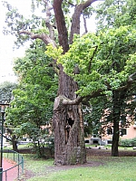 2008-08-12 19-50-55