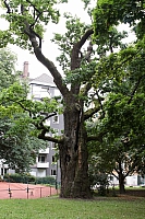 2008-08-12 19-52-33