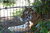 2008-08-15 14-24-46