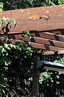 2008-08-15 14-38-48