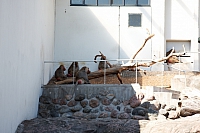 2008-08-15 15-10-10