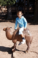2008-08-15 15-26-50
