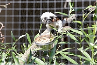 2008-08-15 15-54-39
