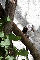 2008-08-15 15-56-06