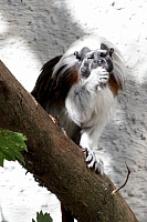 2008-08-15 15-56-17