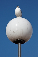 2008-08-15 18-32-34