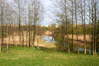 2025-04-20 16.43.52