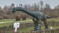 2025-04-13 16.38.04
