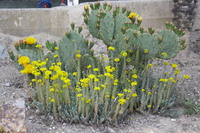 2016-06-18 17-04-04