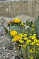 2016-06-18 17-04-09