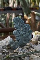 2016-06-18 17-13-54