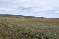 2016-06-14 14-33-53