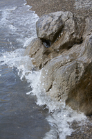 2016-06-16 10-59-36